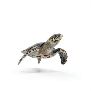 Safari Readers Turtle Adventure Kindle Edition for Kids Ages 3-8-0