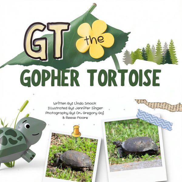 Homespun Stories Turtle Adventure eBook Ages 4-8 40 Page Story-0